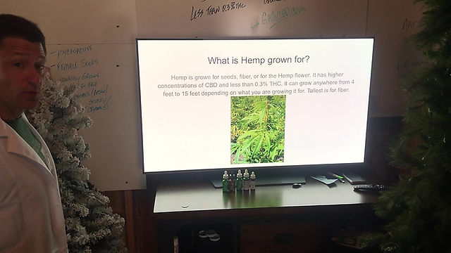 Difference Between Hemp and Marijuana